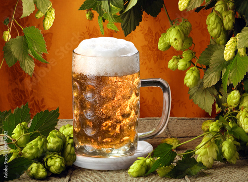 Cold beer and hops