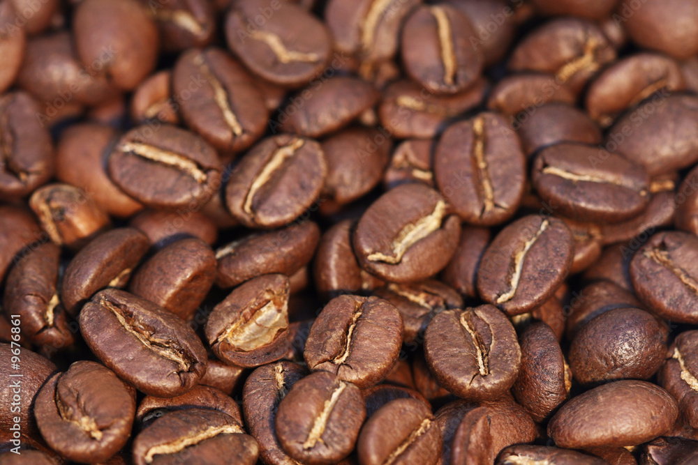 Coffee Beans Coffee Beans