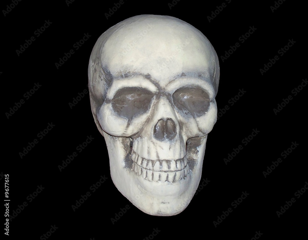 Obraz premium Isolated skull on black