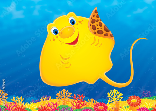 Ray