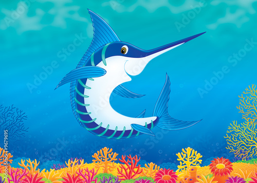 Swordfish