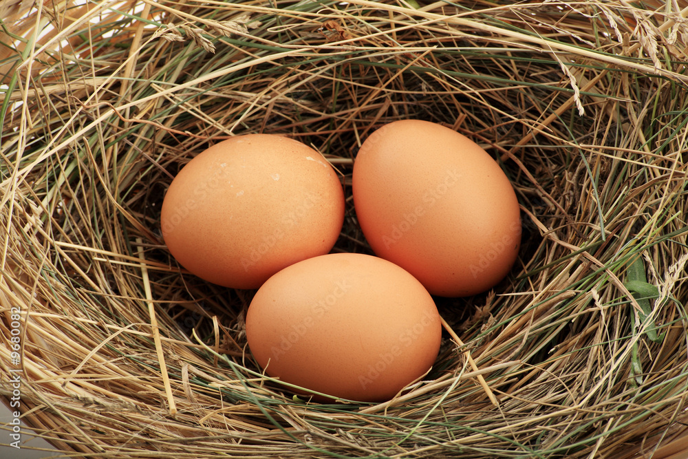 Packing eggs isolated on a white background Packing eggs isolated on a white background