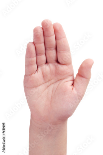 Child's right hand open palm on white background