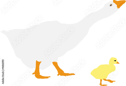 illustration of  goose with gosling walking