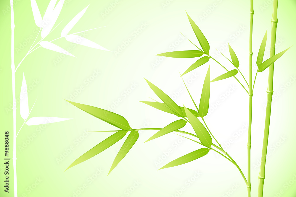 Obraz premium Bambou - image vectorielle -