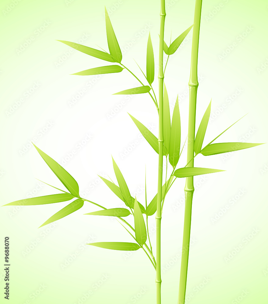 Naklejka premium Bambou - image vectorielle -