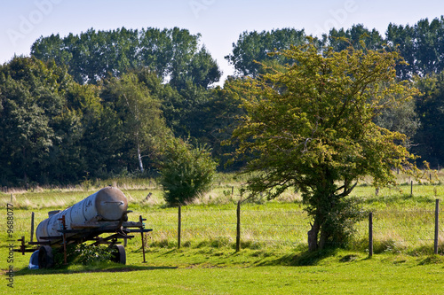 Kuhweide Wasserwagen Baum 1 © Claus Schlüter