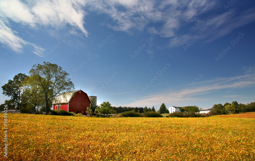 Obraz premium Scenic Farm Landscape