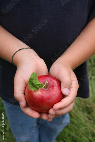 young child holding a freshly picked red apple