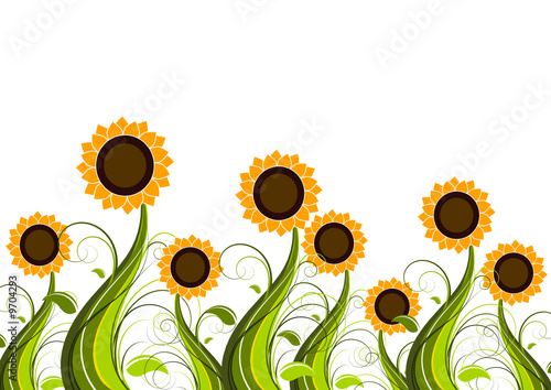 Sunflowers field vector background