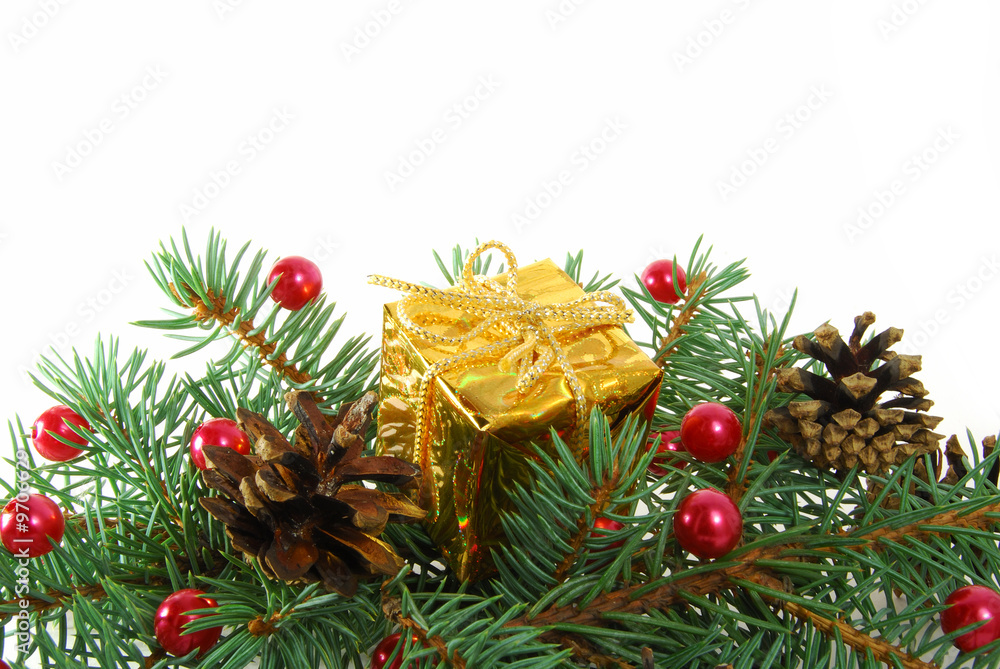 Gold gift in green branch of tree with cones Gold gift in green branch of tree with cones