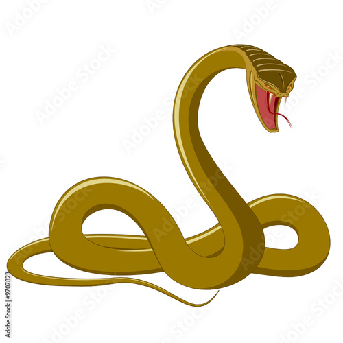 snake