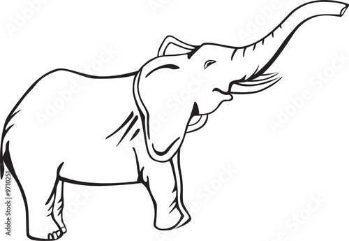 elephant