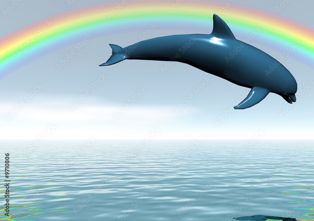 Obraz premium dauphin arc en ciel