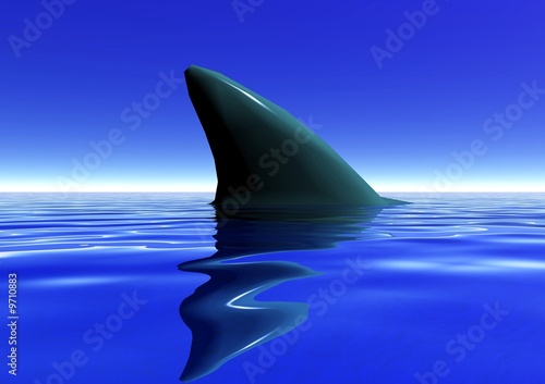 aileron de requin © minicel73