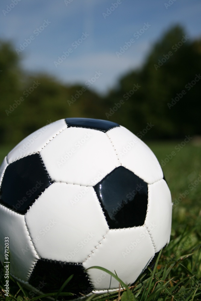 Fototapeta premium fussball im park