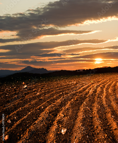 plowed land, on background sun dawn the hill
