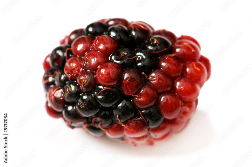 Extreme close up of berry isolated on white Extreme close up of berry isolated on white
