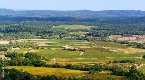 vignes, vue aerienne des vignoble du sud de la france