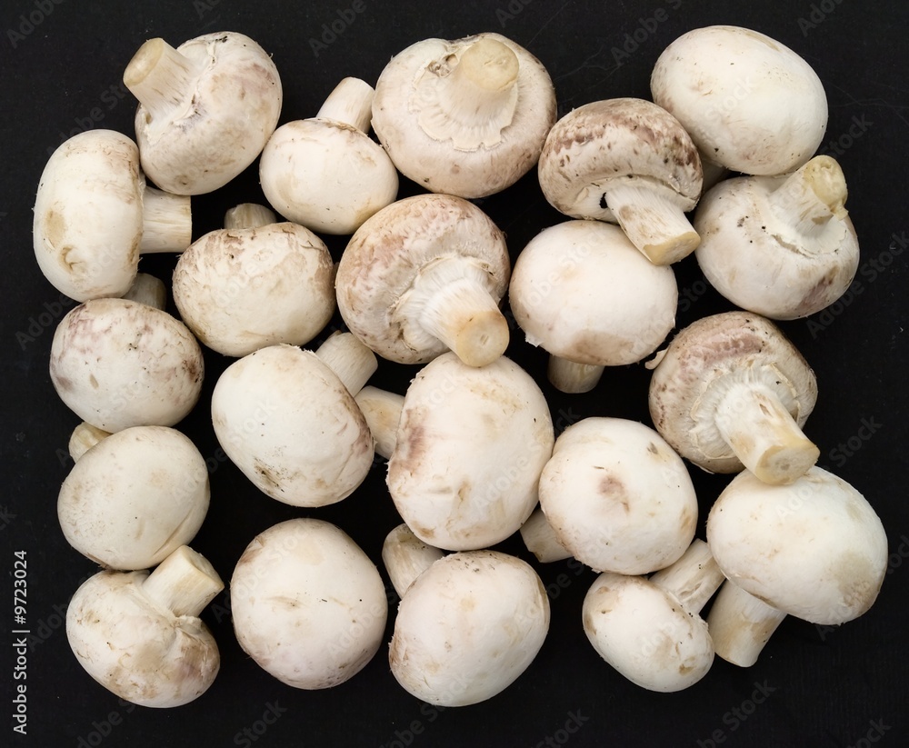 Mushrooms. Heap of champignons on a black background Mushrooms. Heap of champignons on a black background