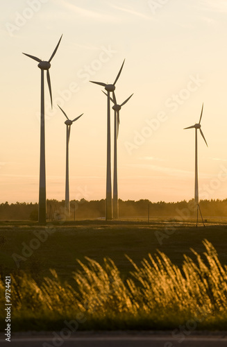 wind farm turbines generators rows at dusk