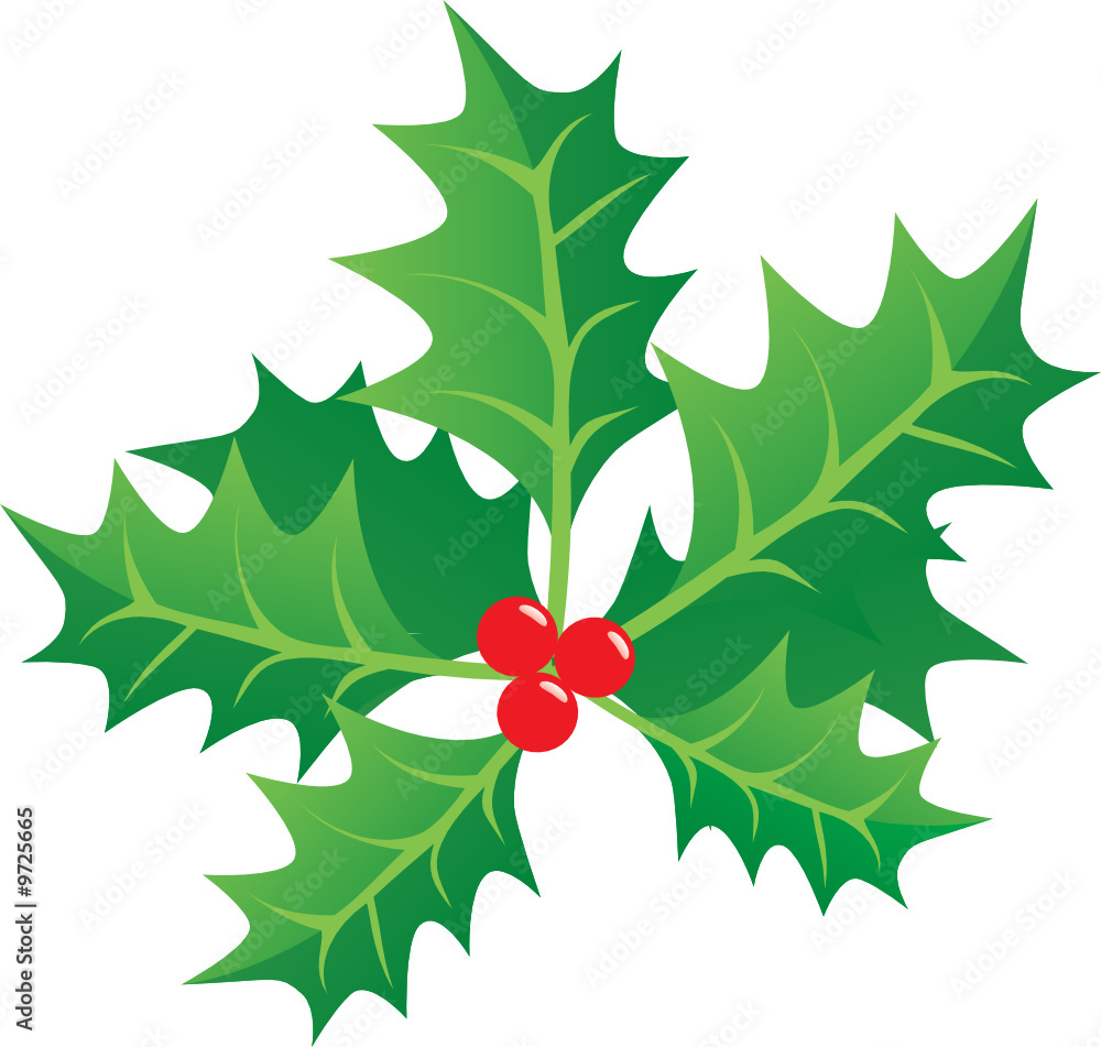 Green Christmas Holly with red Berries