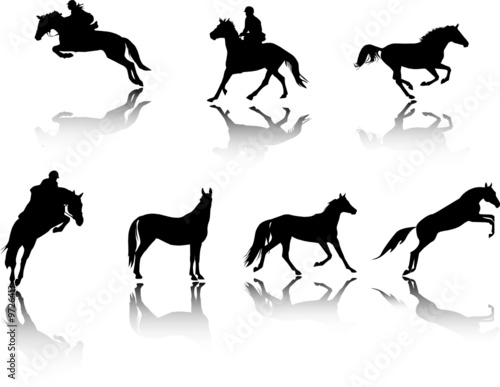 horses silhouettes