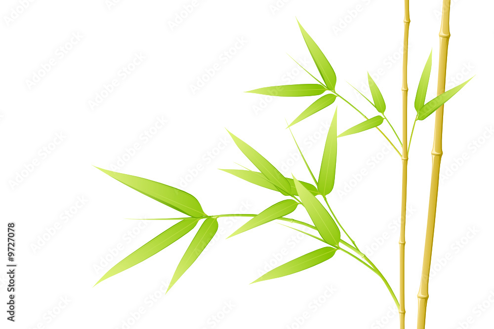 Bambou - image vectorielle -