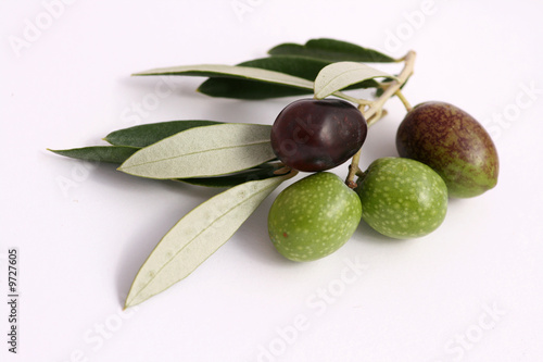 Wallpaper Mural Oliven Torontodigital.ca