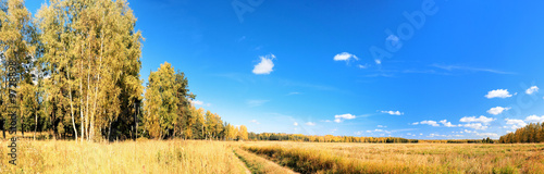vibrant image of rural road and blue sky panorama