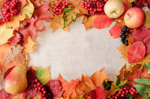 background from autumn leaves and textile. Frame with autumn leaves, paradise apples and rowan berries.