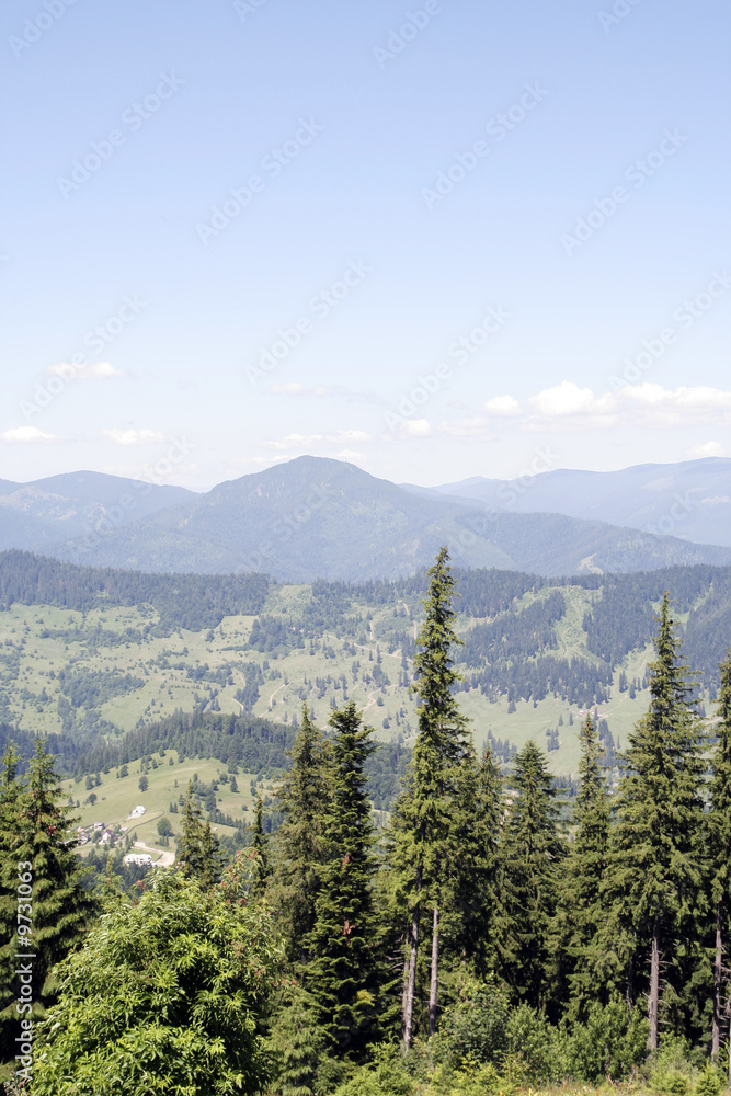 Mountains with green forest landscape.