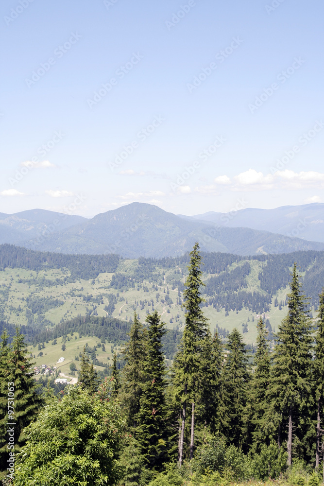 Fototapeta premium Mountains with green forest landscape.