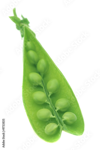 Green pea.