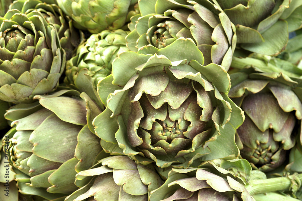 Fototapeta premium Artischocken