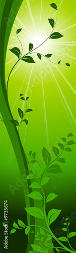 vector serie - green banner template with sun and plants