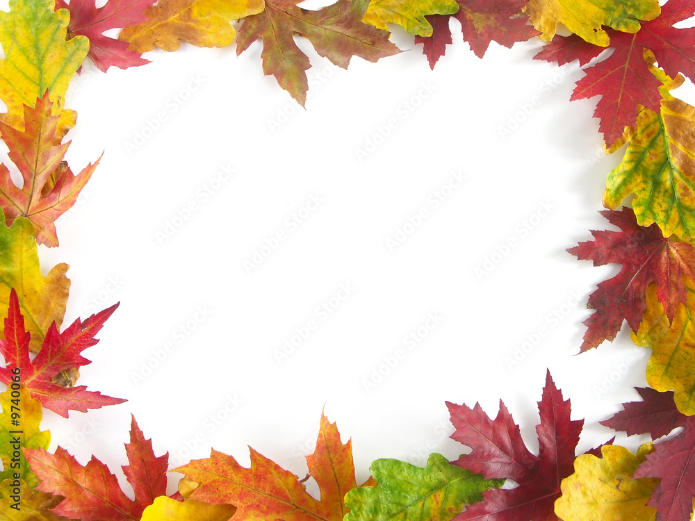 Fall leaf framework with white copy space
