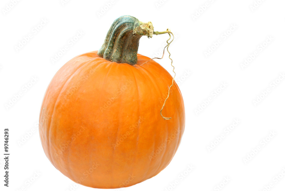 Obraz premium Halloween pumpkin isolated on white