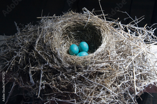 Valokuvatapetti Nest Egg