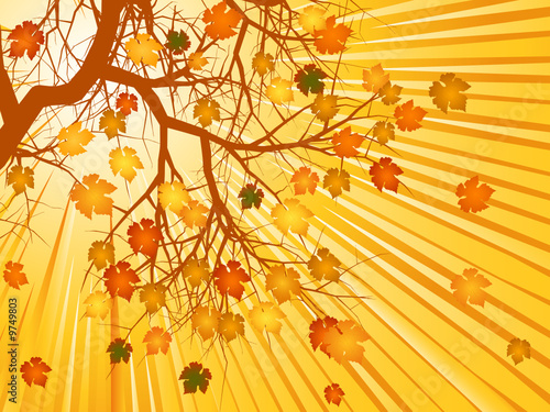 autumn tree background