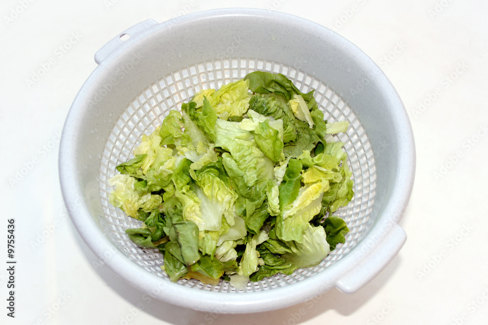 Grüner Salat im Sieb Grüner Salat im Sieb