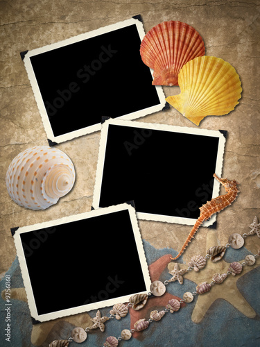 Frameworks for a photo, sea cockleshells.