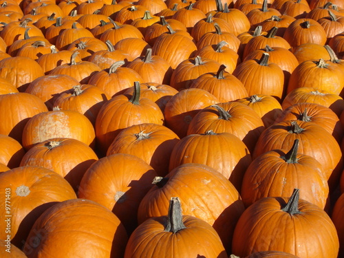 Pumpkins