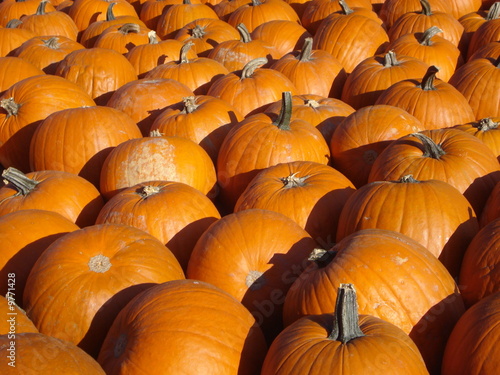 Pumpkins