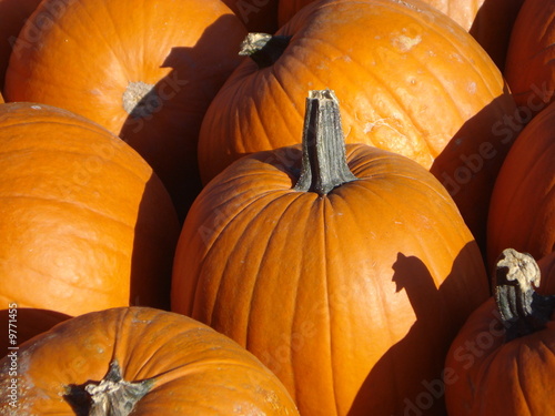 Pumpkins