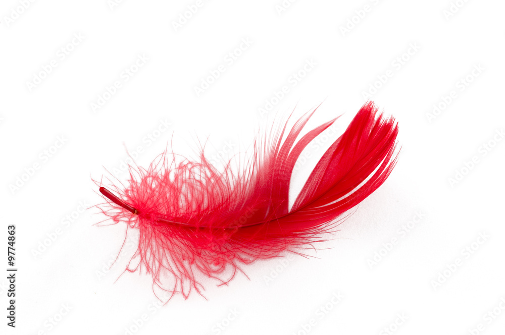 feather