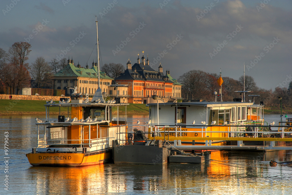 Fototapeta premium Elbfähre Pillnitz