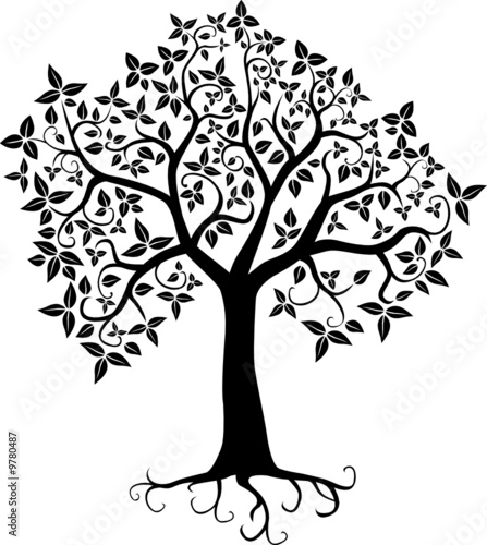 arbre