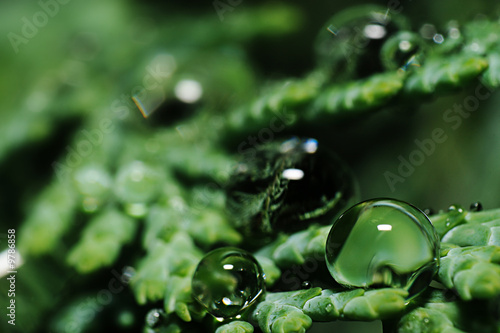 Drop