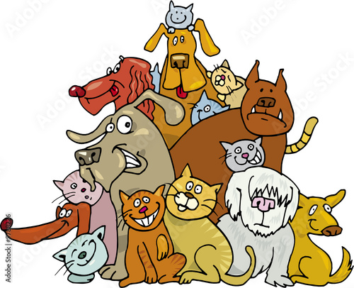 cats and dogs
